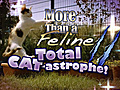 Even More amp 039 More Than a Feline amp 039  | BahVideo.com