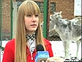 Donkey Interrupts Interview | BahVideo.com