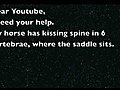 Kissing Spine Calling all Horse Youtubers  | BahVideo.com