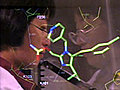 Molecular Biology and Viral Dynamics of the  | BahVideo.com