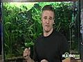 How to Maintain an Aquarium | BahVideo.com