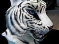 Kira Tiger Mask | BahVideo.com