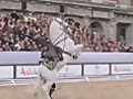 Acrobatic Horses | BahVideo.com