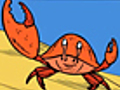 Fish Facts Crabs | BahVideo.com