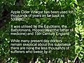 Apple-Cider-Vinegar-For-Arthritis | BahVideo.com