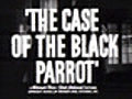 The Case of the Black Parrot trailer | BahVideo.com