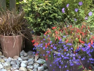 An Introduction To Container Gardens | BahVideo.com