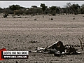 DEC launches Africa appeal | BahVideo.com