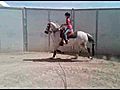 Hurricane Grace Country Pleasure w 10yr old  | BahVideo.com