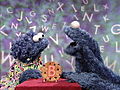 Cookie s Letter Of Day B | BahVideo.com