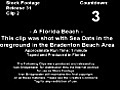 A Florida Beach 2007  | BahVideo.com