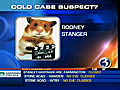 Oops Eyewitness News Messes Up A Sad Story By Showing A Hamster s Mug Shot As The Suspect Live On TV  | BahVideo.com