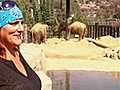 Ruby Bonus Zoo Adventure | BahVideo.com