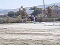 cantering the cool horse | BahVideo.com