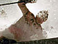 Jubil um eines Urgesteins 60 Ski-Film von  | BahVideo.com