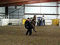 DUB Calf Horse For SALE 3 No Jerkline | BahVideo.com