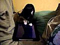 Catwina playing on my iPad | BahVideo.com
