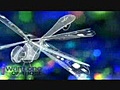 RC Dragon Fly from iwantoneofthose com | BahVideo.com