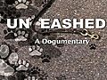 Unleashed A Dogumentary | BahVideo.com