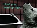 High | BahVideo.com
