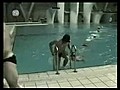 Havuza atlamanin böylesi !! | BahVideo.com
