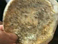 Burger King Appears In McDonalds Bun | BahVideo.com