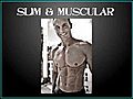 Visual Impact - Muscle Building | BahVideo.com