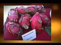 Asian Farmer s Market | BahVideo.com