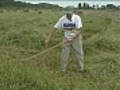 Hand mowing competition held in Vermont | BahVideo.com
