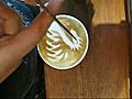 Kahve bardagindaki hayvanat bah esi | BahVideo.com