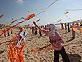 Raw Video Gaza Children Go After Kite Record | BahVideo.com
