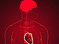 Major breakthrough Full body transplant | BahVideo.com