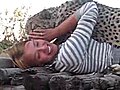 Cuddling With A Cheetah | BahVideo.com