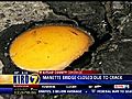 WATCH IT Emergency Inspection Closes Manette Bridge | BahVideo.com