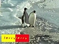 Penguins | BahVideo.com