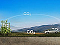 Decoding the Biofuel Buzz | BahVideo.com