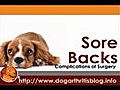 Complications of Dog ACL Surgery | BahVideo.com
