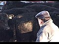 De compras en el mercado de ganado de Liniers  | BahVideo.com