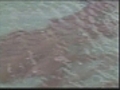 Rough seas halt Gulf oil skimming operations | BahVideo.com