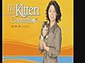 Cat Care A Healthy Kitten s Transition To  | BahVideo.com