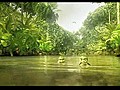 A Turtle s Tale - Trailer | BahVideo.com