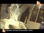 L exposition Au temps des mammouths N mes NL | BahVideo.com