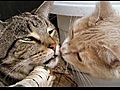 hot boys kissing girls | BahVideo.com