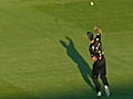 Cricketer takes out a pigeon | BahVideo.com