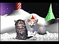 Jingle Cats Silent Night | BahVideo.com