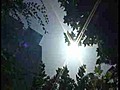 El calor provoca la muerte de un centenar de  | BahVideo.com