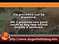 Genetic Disorders Dog Hip Dysplasia | BahVideo.com