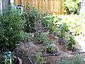 My Little Produce Garden | BahVideo.com