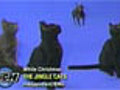 The Jingle Cats | BahVideo.com