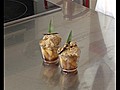 Crumble ananas au caramel et vanille | BahVideo.com